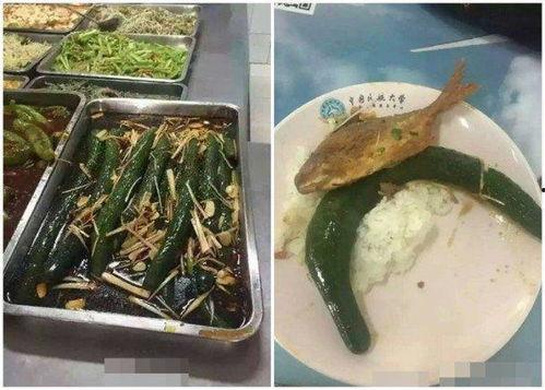 石家庄铁路学院食堂吃瓜