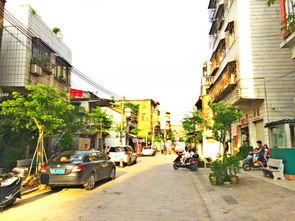 惠州水东街吃瓜视频,一场别开生面的吃瓜盛宴