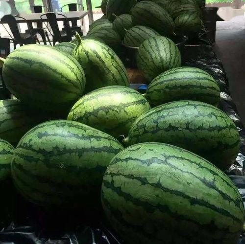 能到吃瓜,那些年我们吃过的瓜