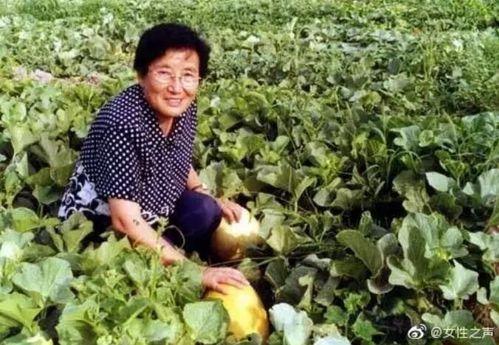 长垣吃瓜女,揭秘当地独特美食文化