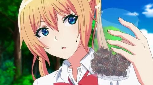 吃瓜少女阿月,揭秘娱乐圈背后的故事